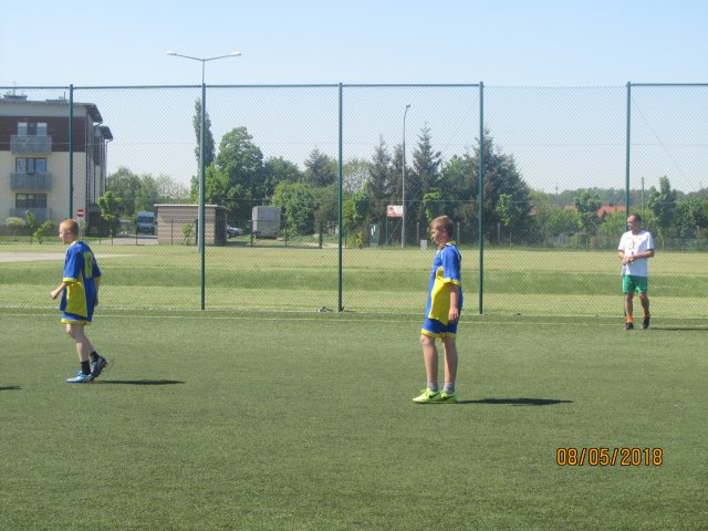 pino 21